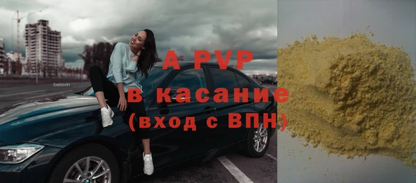 молекула духа Бородино