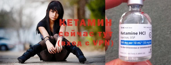 молекула духа Бородино