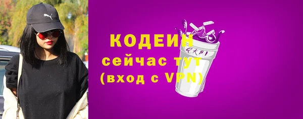 СК Тавда
