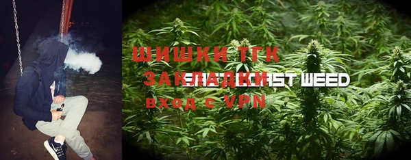 молекула духа Бородино