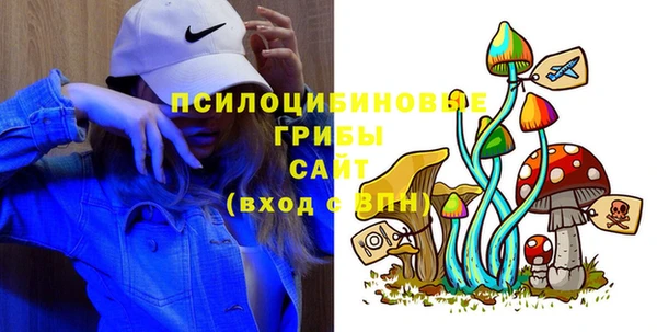 скорость Бронницы