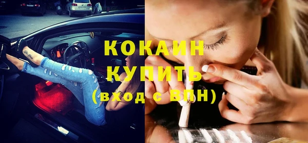 молекула духа Бородино