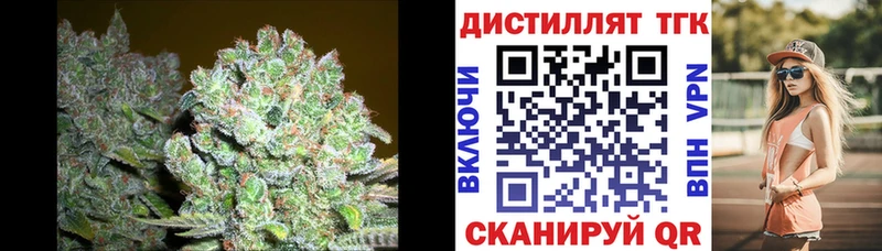 мориарти клад  Княгинино  ТГК концентрат 