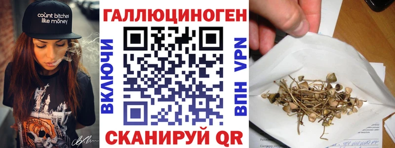 Галлюциногенные грибы Magic Shrooms  Княгинино 