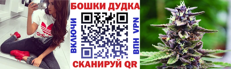 ссылка на мегу как зайти  Княгинино  МАРИХУАНА Amnesia  магазин   